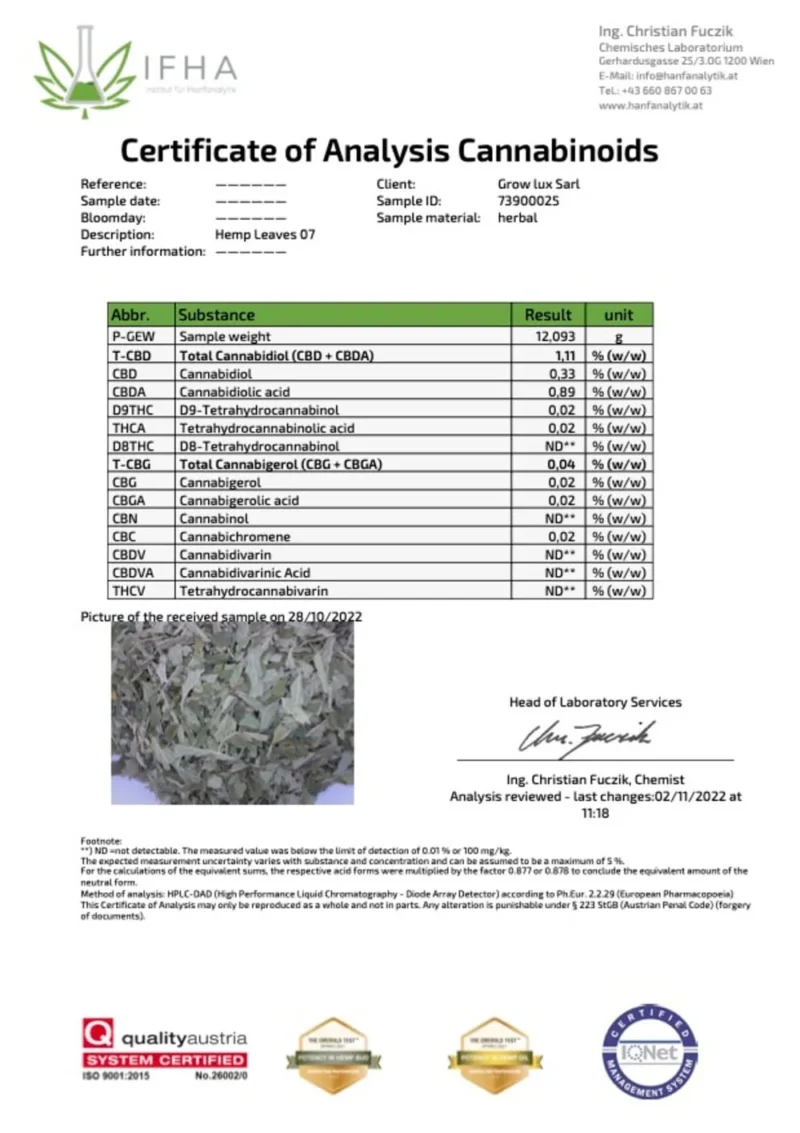 jasmin cbd thé