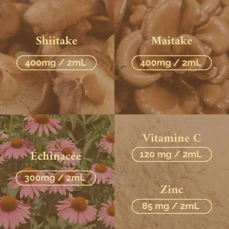 huile immunité shiitake maitake