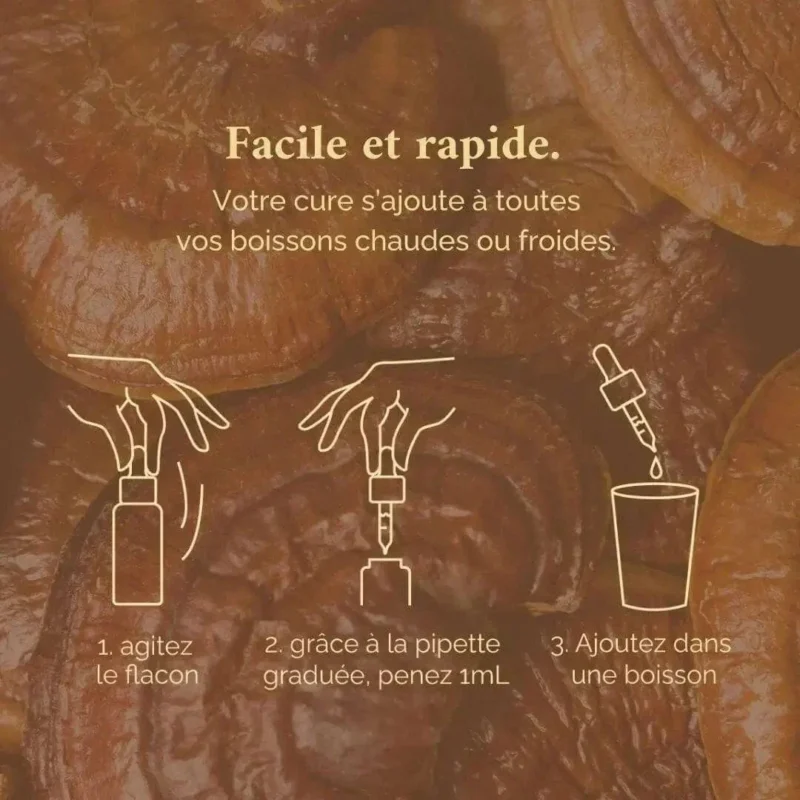 huile reishi facile